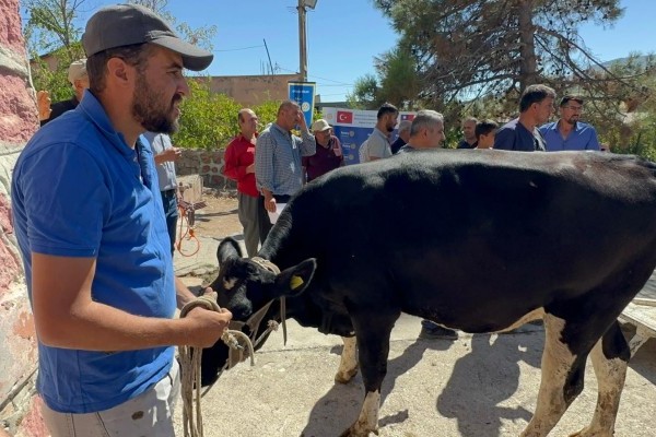 ROTARY’DEN DEPREMZEDE AİLELERE GEBE DÜVE YARDIMI