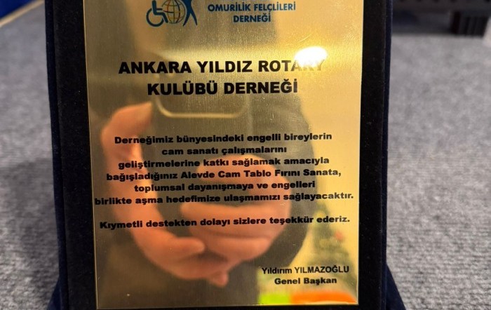 Alevde Cam Tablo Fırını