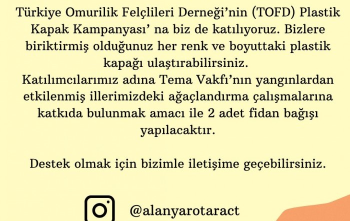 Kapaktan Fidana