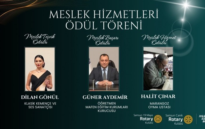 Meslek Hizmet Ödülleri- Başarı