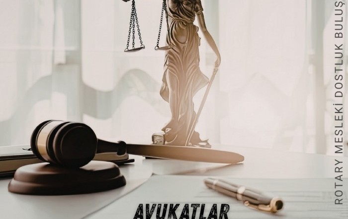 Mesleki Dostluk Buluşması