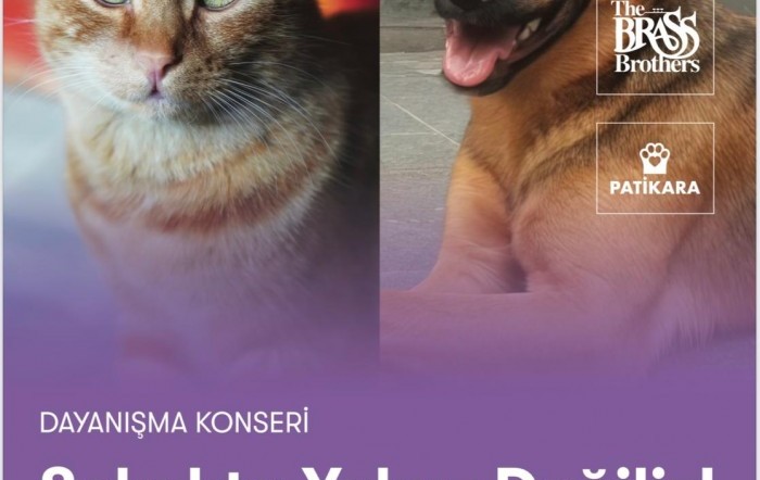 Sokakta Yalnız Değiliz