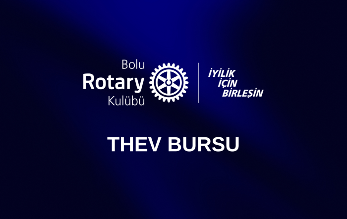 THEV BURSU