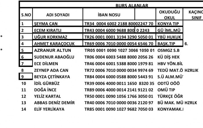 bursiyer