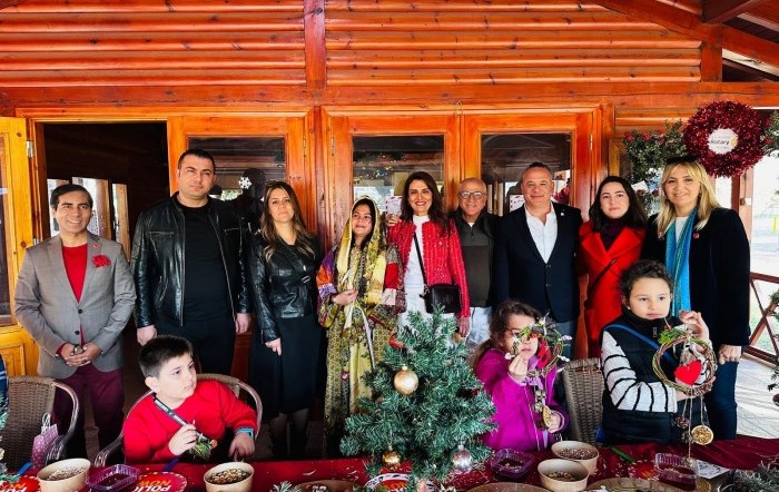 Aralık 2025-06