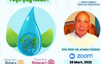 Yeşil Çağ nedir? Prof. Dr. Atabay Düzenli