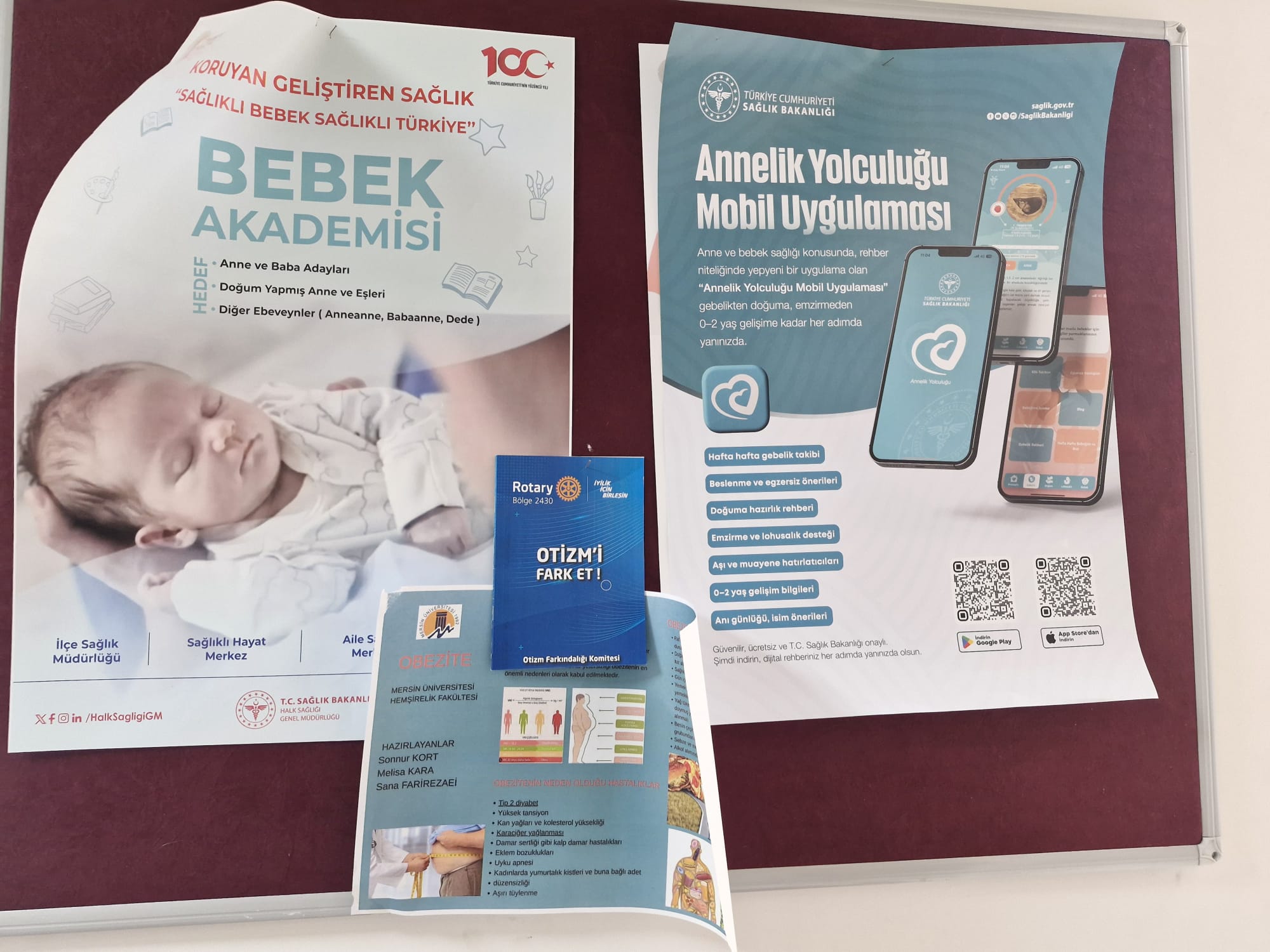 Otizm Farkındalığı Kitapçık Dağıtım Projesi