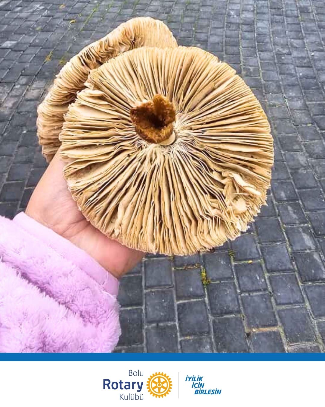 Ebeveyn & Çocuk Kampı