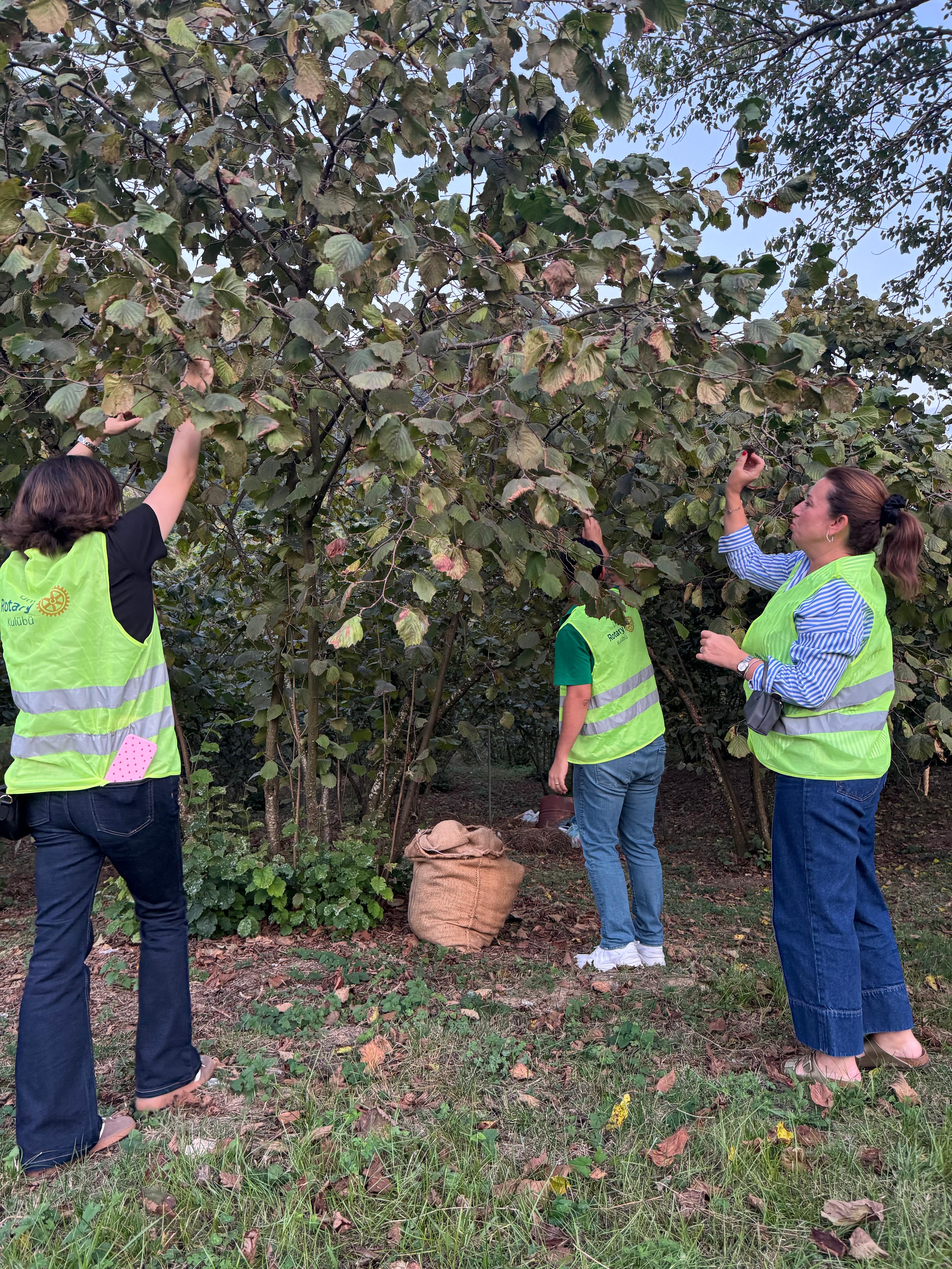 Bir Köyümüz Var – Fındık Toplama Projesi (Eşler Komitesi Organizasyonu İle)