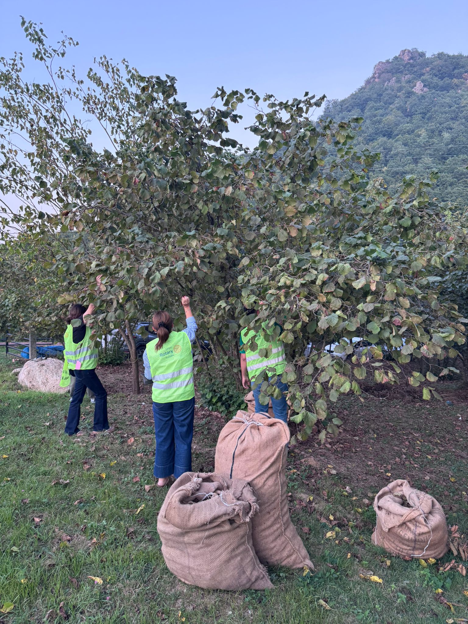 Bir Köyümüz Var – Fındık Toplama Projesi (Eşler Komitesi Organizasyonu İle)