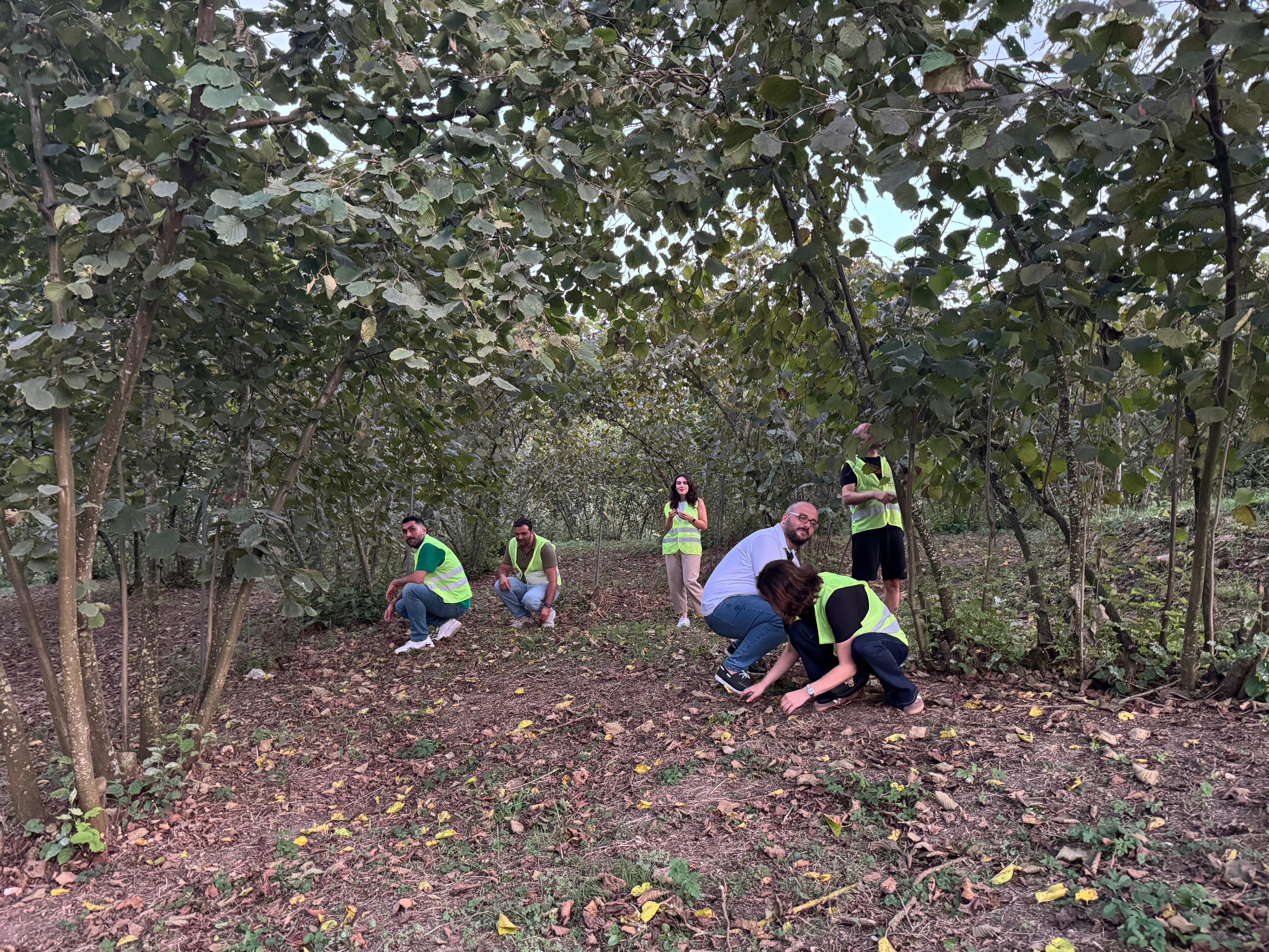 Bir Köyümüz Var – Fındık Toplama Projesi (Eşler Komitesi Organizasyonu İle)