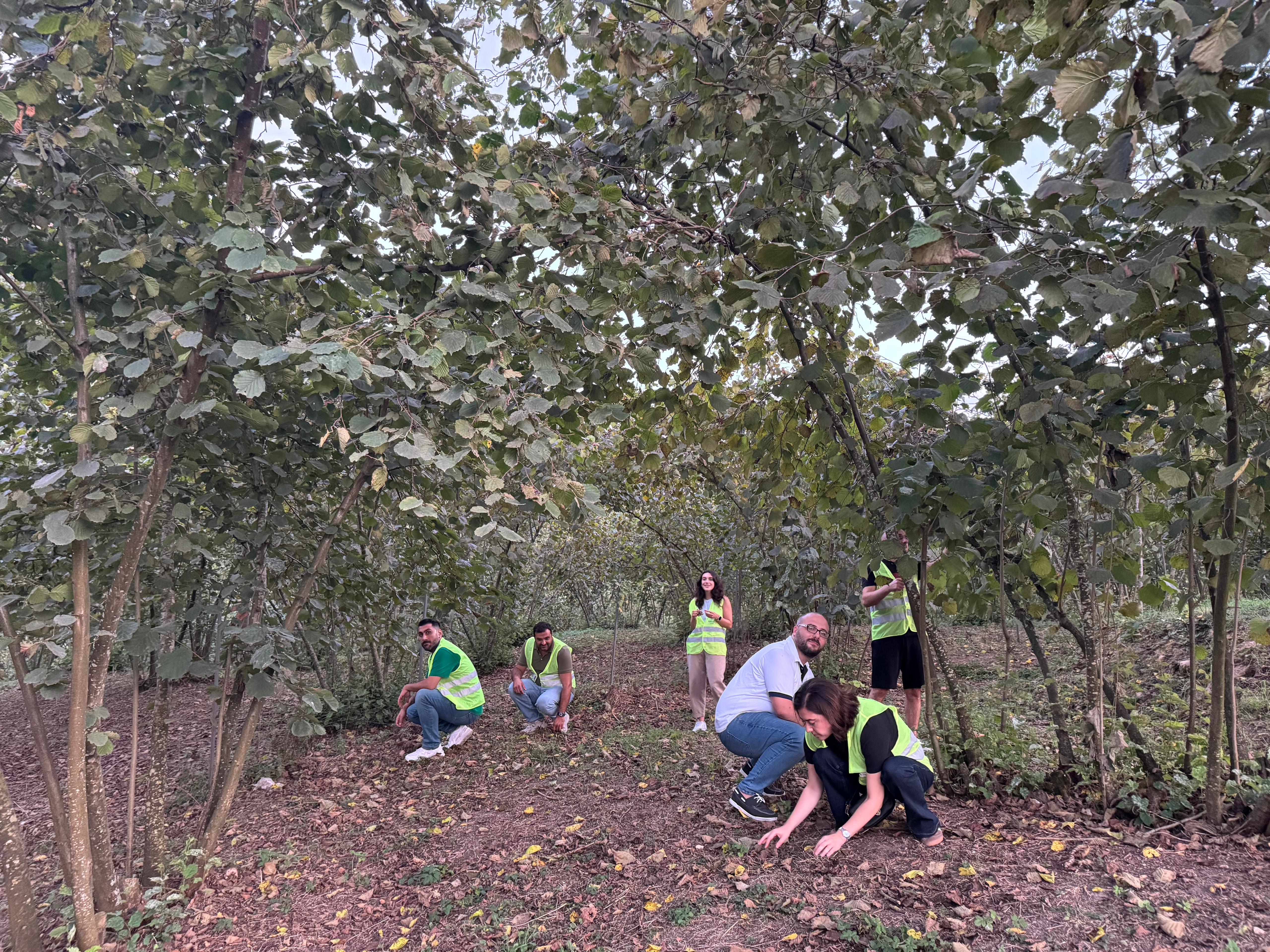 Bir Köyümüz Var – Fındık Toplama Projesi (Eşler Komitesi Organizasyonu İle)