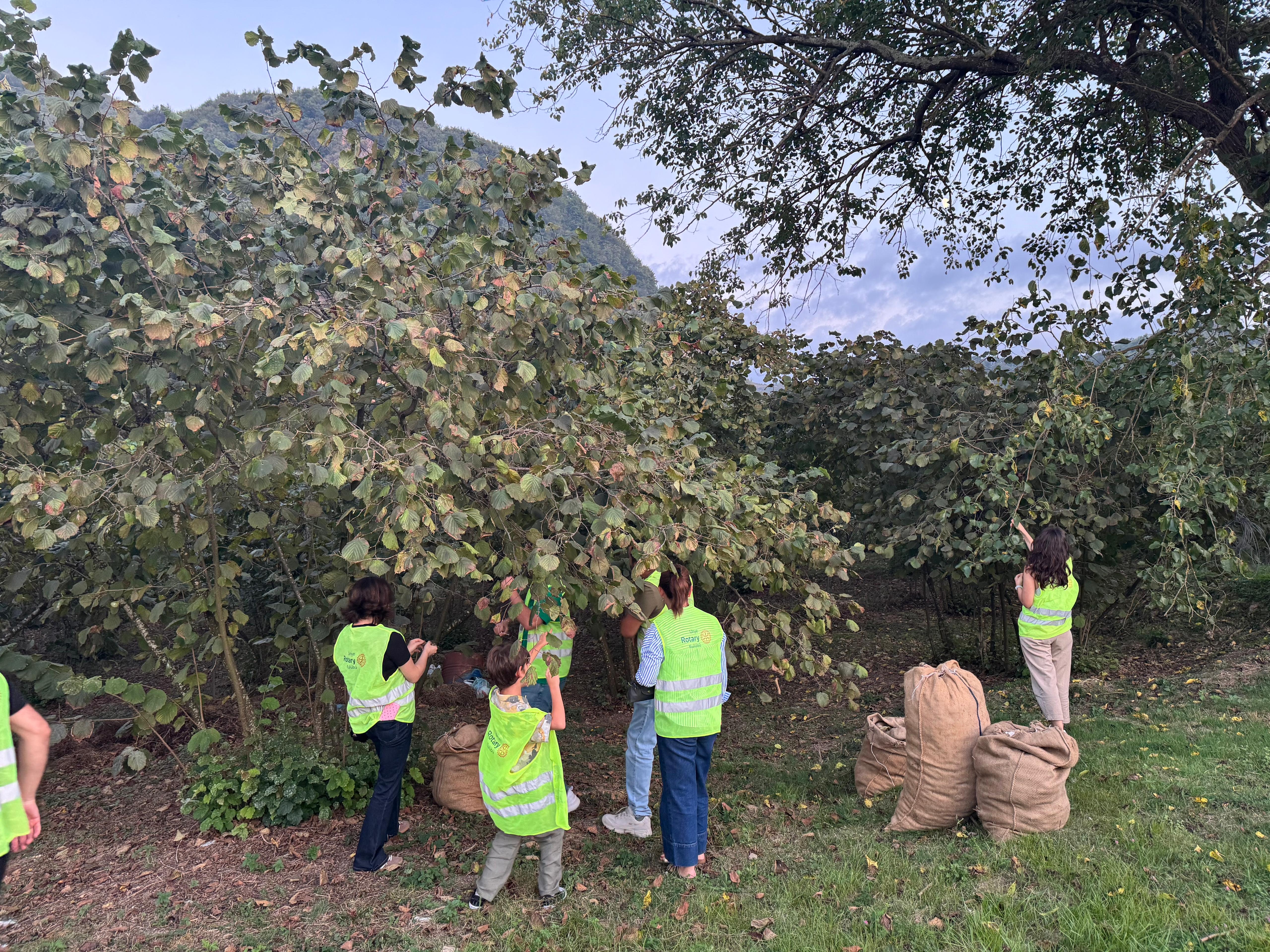 Bir Köyümüz Var – Fındık Toplama Projesi (Eşler Komitesi Organizasyonu İle)