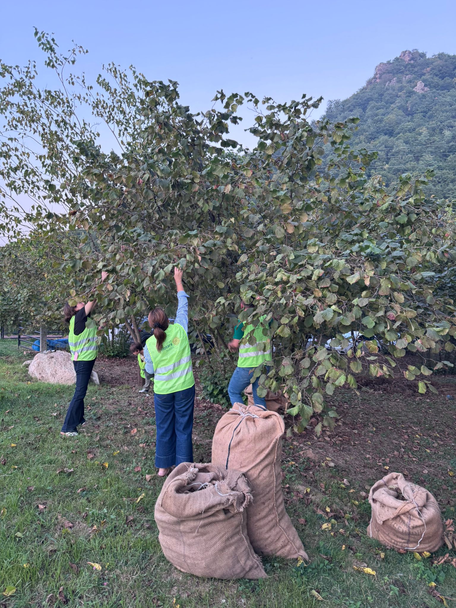 Bir Köyümüz Var – Fındık Toplama Projesi (Eşler Komitesi Organizasyonu İle)