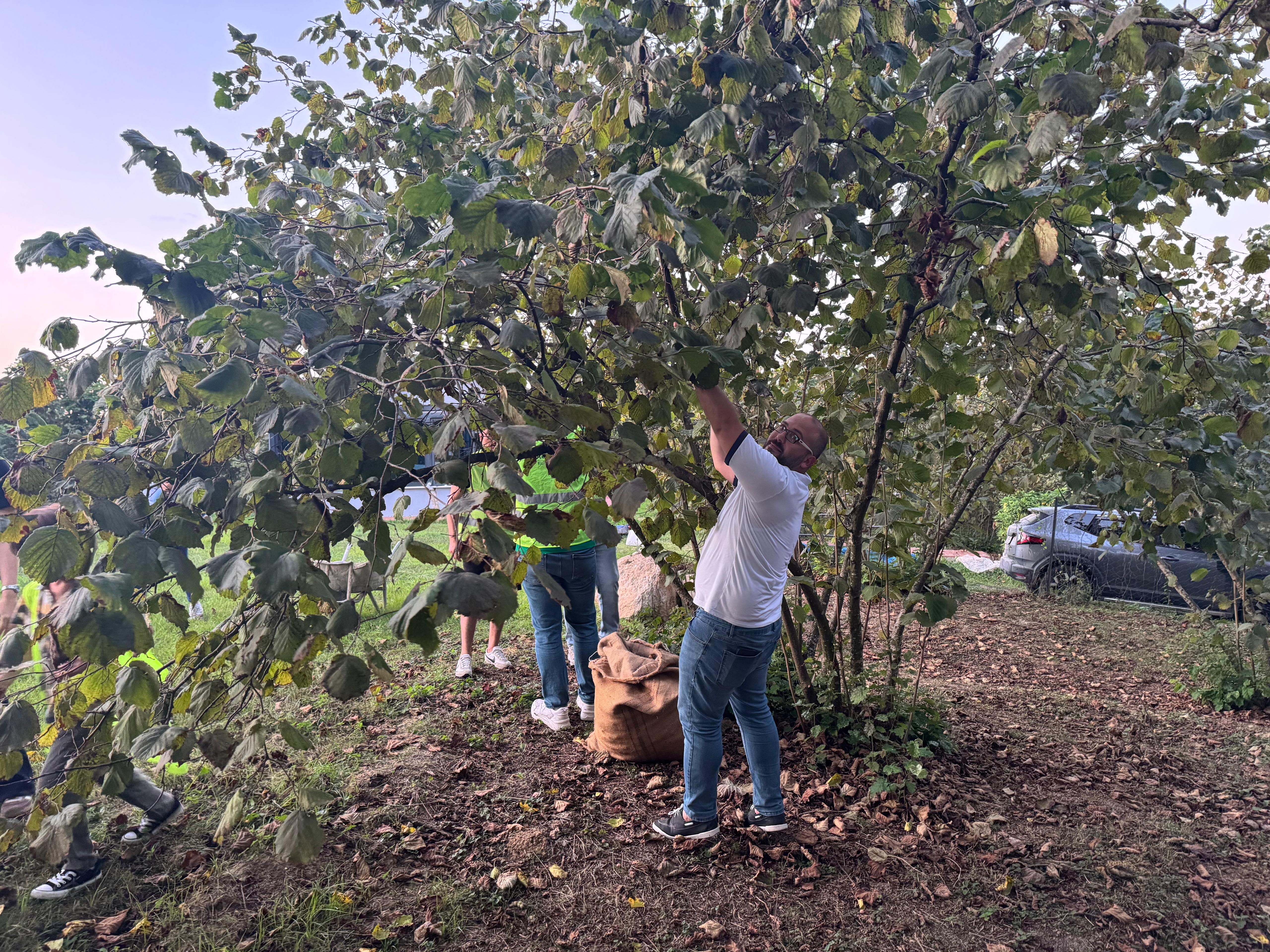 Bir Köyümüz Var – Fındık Toplama Projesi (Eşler Komitesi Organizasyonu İle)