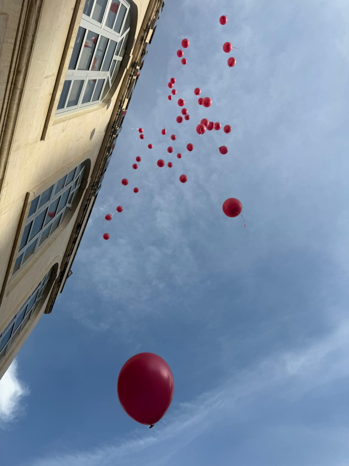 Adana Taşköprü Rotary Kulübü – End Polio Now Proje Çalışmaları