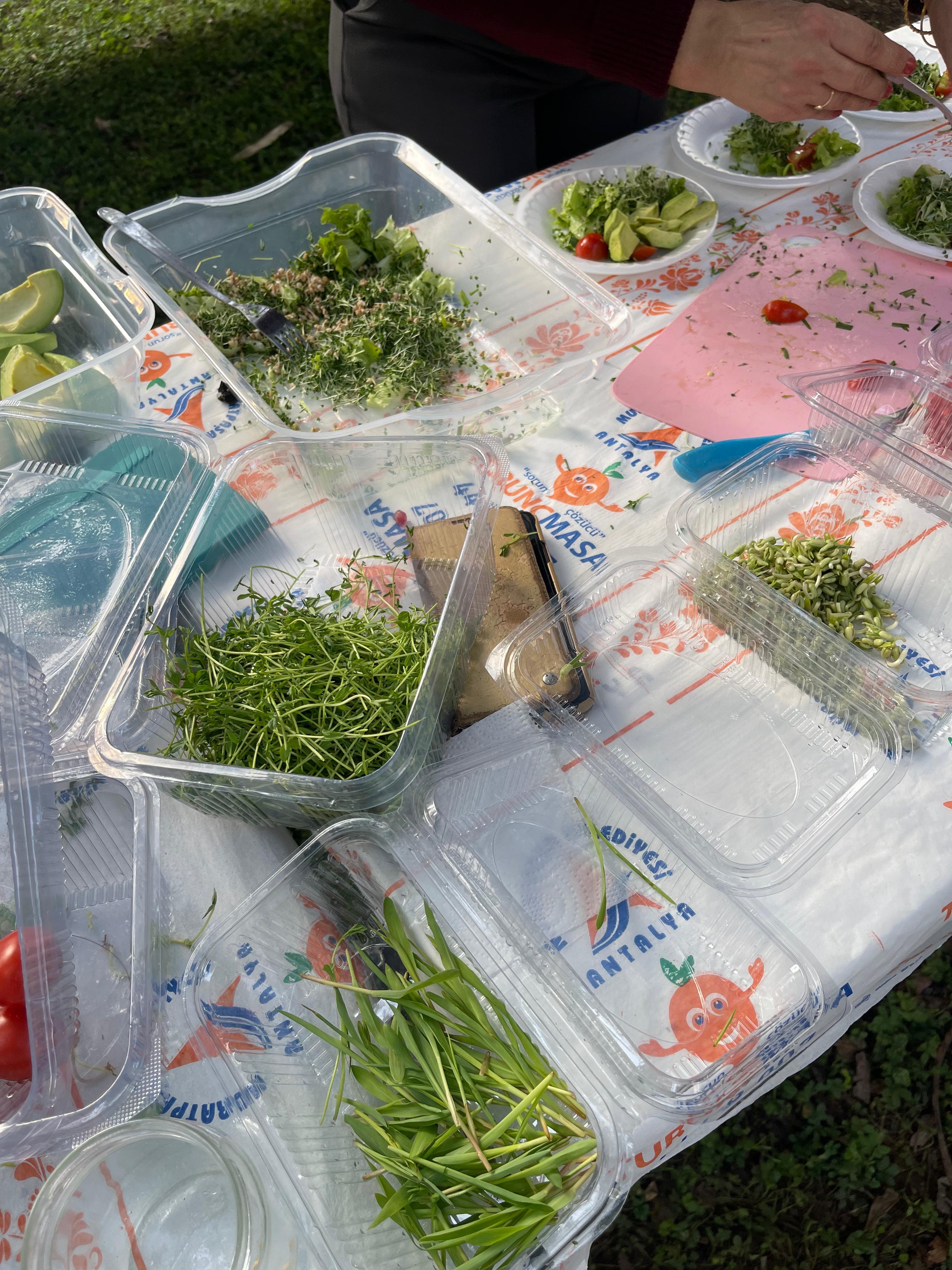 ANTALYA OLİMPOS RK VE MURATPAŞA BLD. ' MİKRO YEŞİLLİK ATÖLYESİ VE TADIMI'