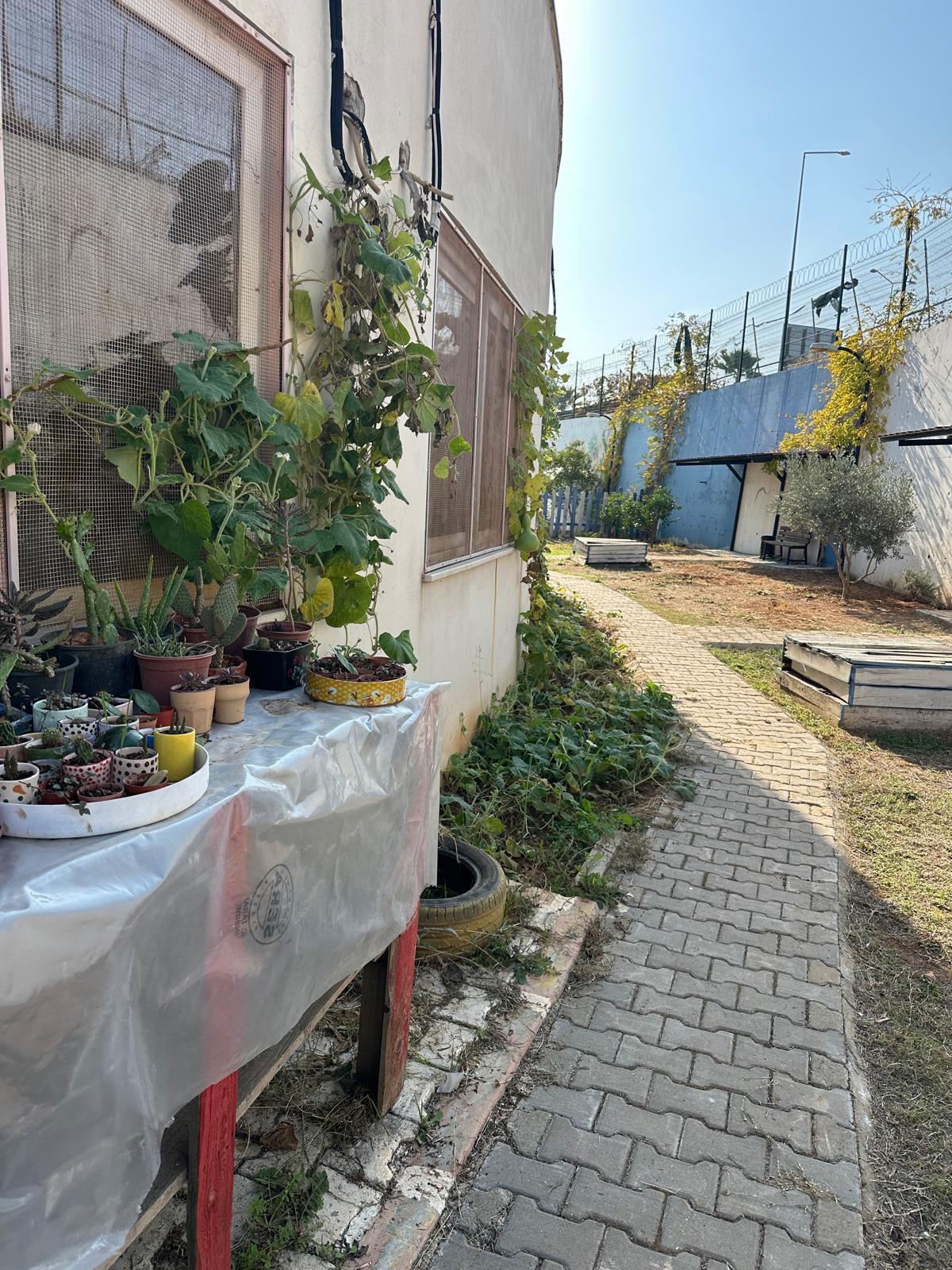 MADDE BAĞIMLILIĞI - AMATEM