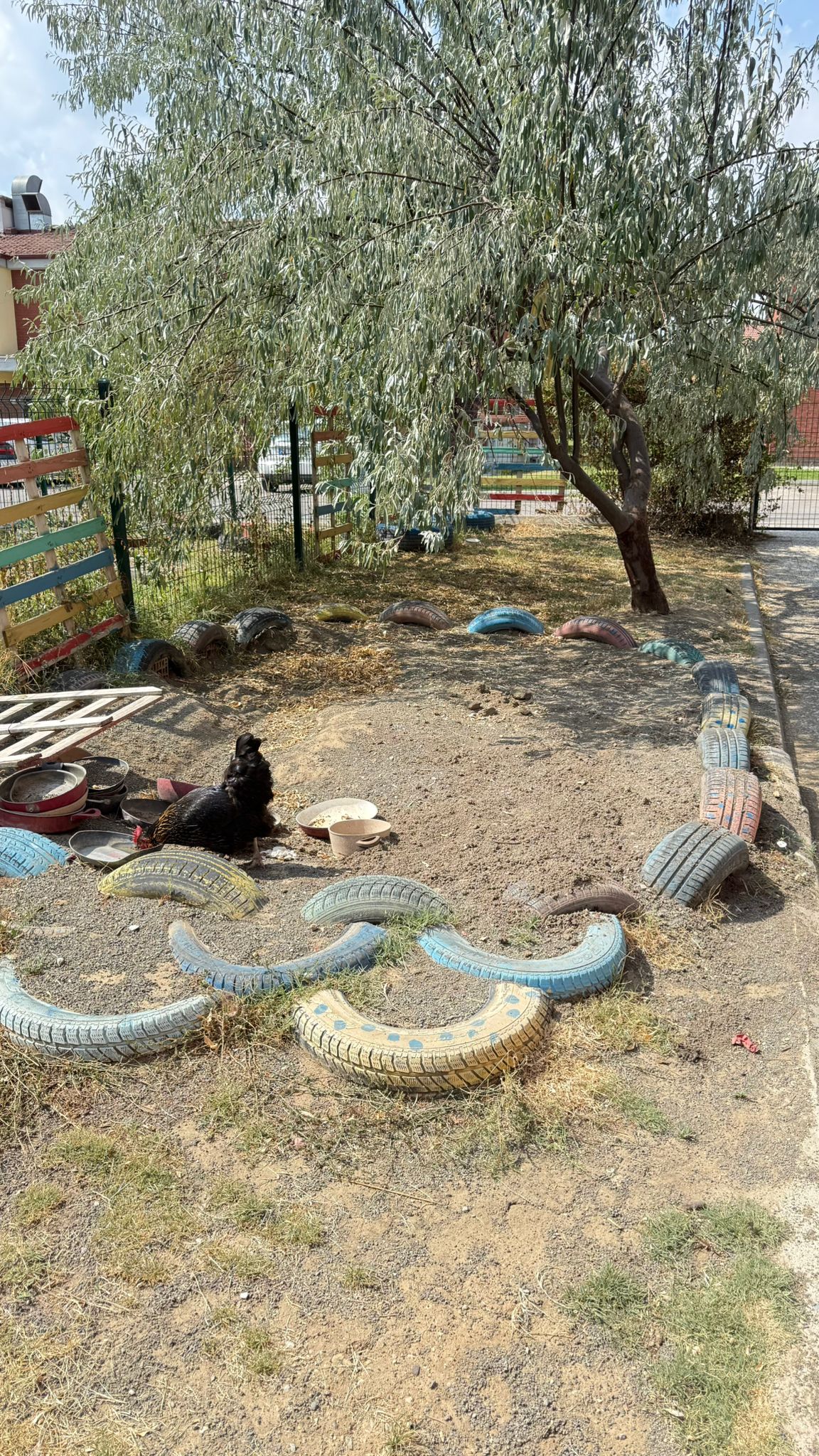 Uçan Bisiklet belediye okulu ihtiyaçları