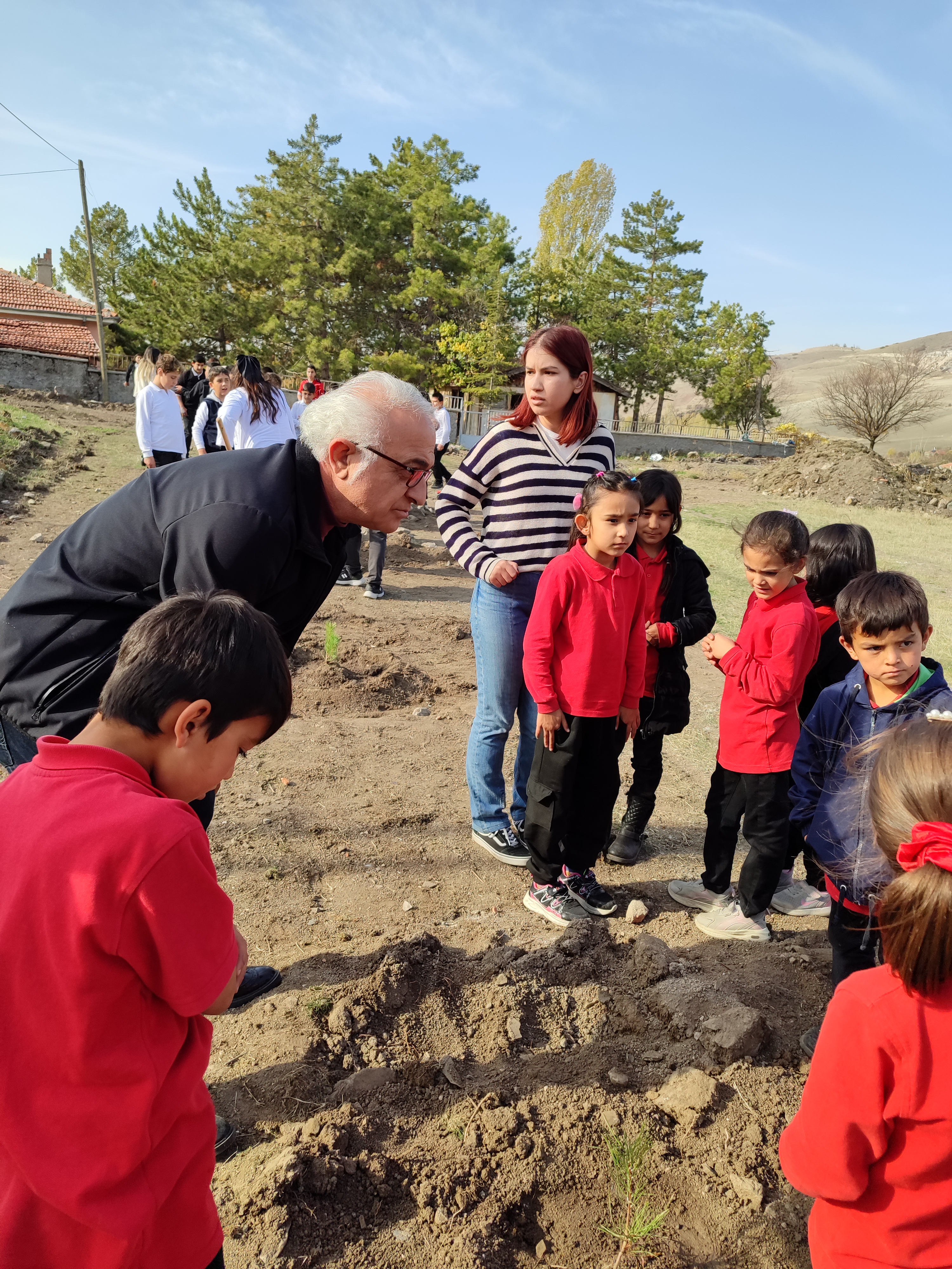 BEYSUKENT HATIRA ORMANI AĞAÇ DİKİMİ