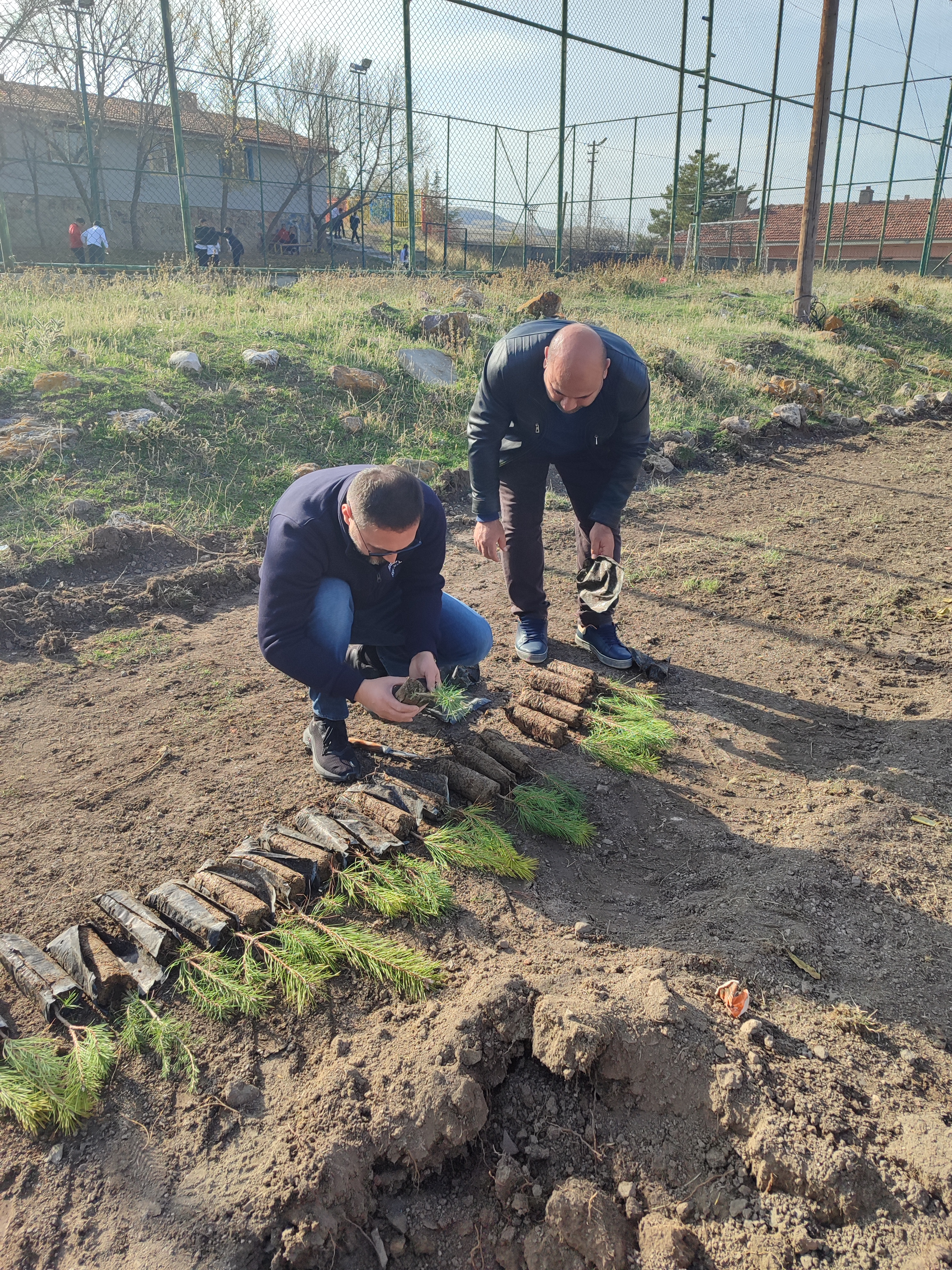 BEYSUKENT HATIRA ORMANI AĞAÇ DİKİMİ