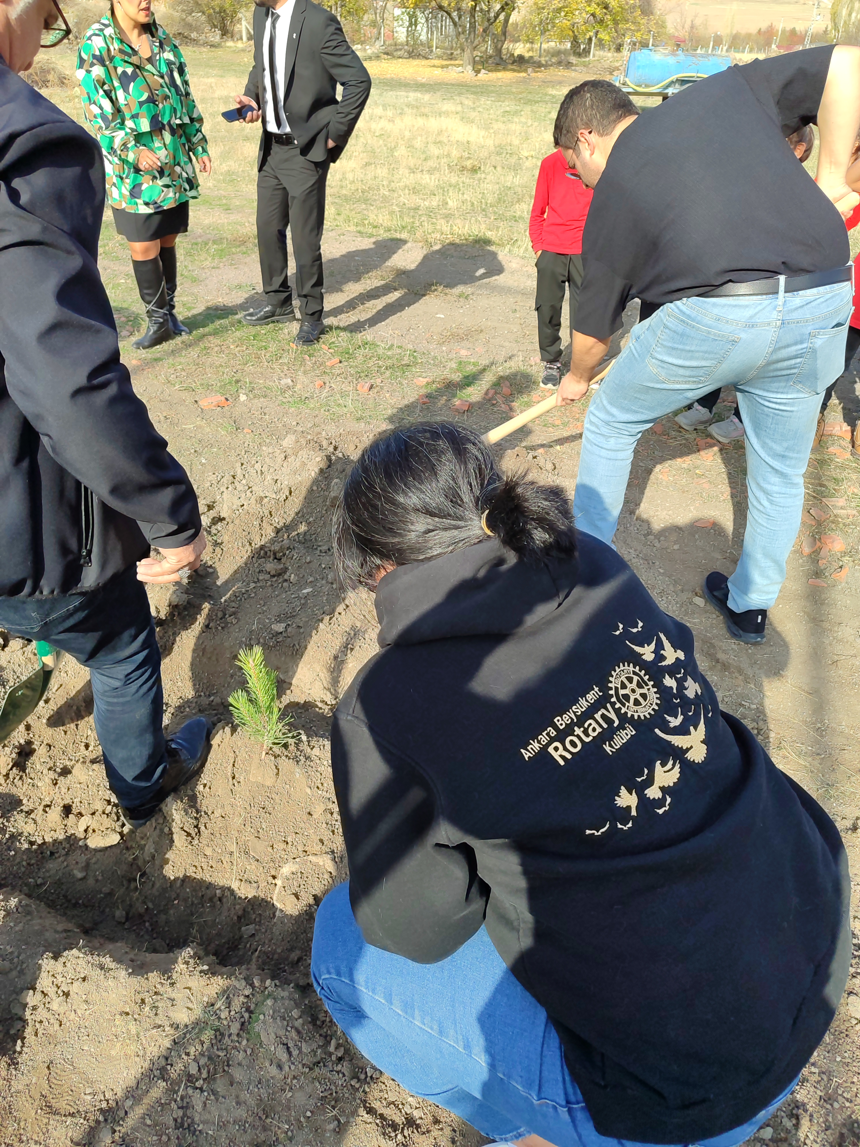 BEYSUKENT HATIRA ORMANI AĞAÇ DİKİMİ