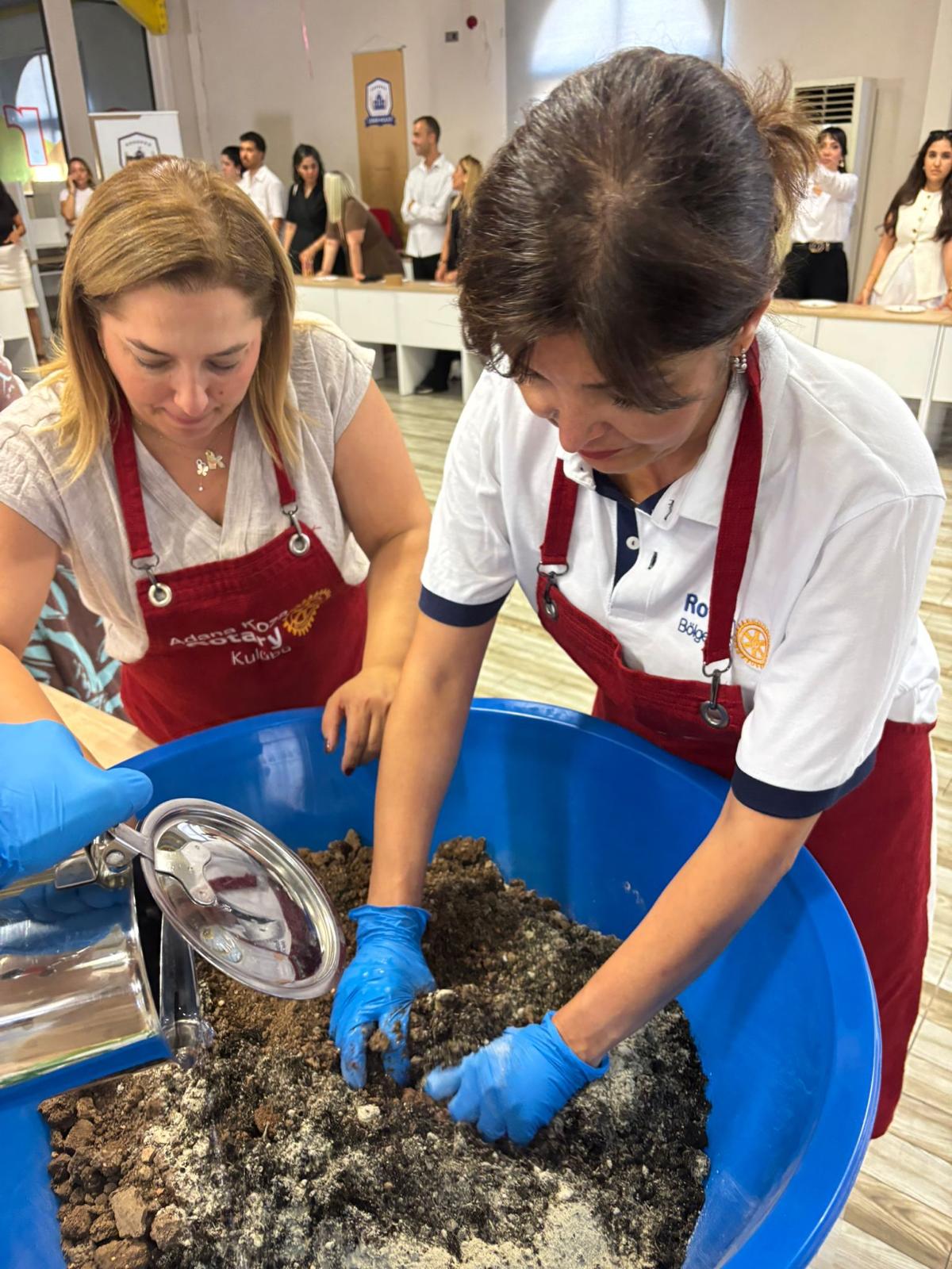 Doğa Tohum ve İnsan