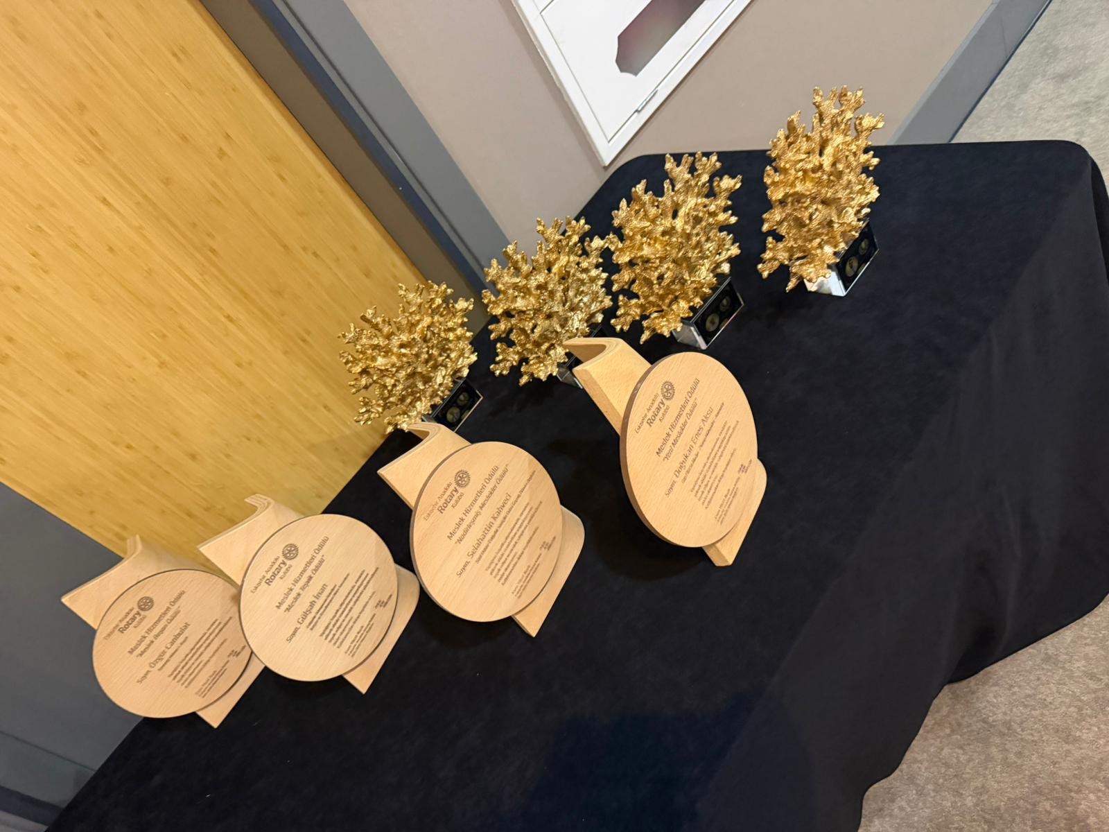 MESLEK TEŞVİK ÖDÜLÜ