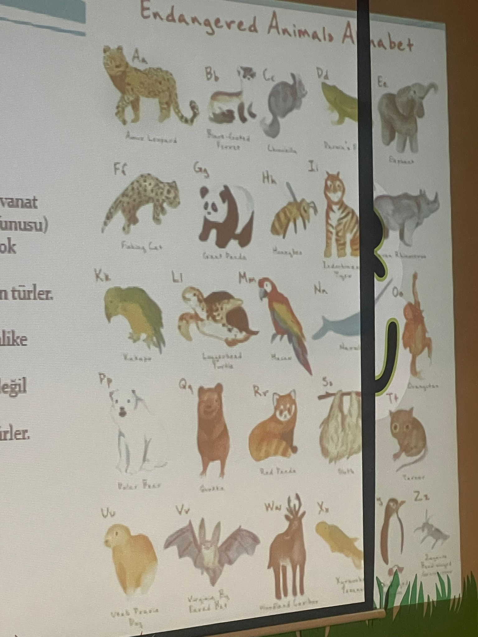 NESLİ TÜKENMEKTE OLAN HAYVANLAR