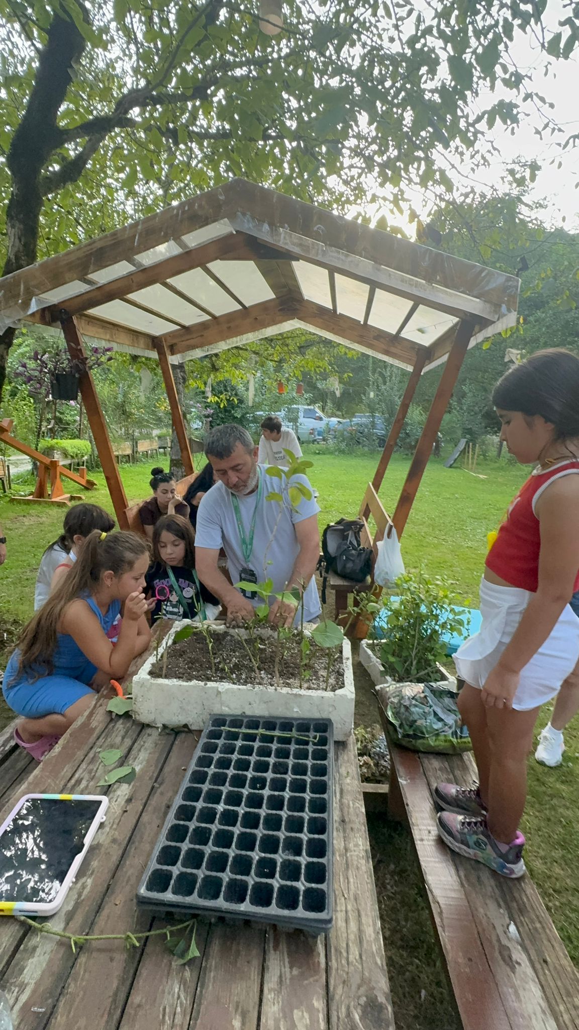 Bitkilerimi Büyütüyorum