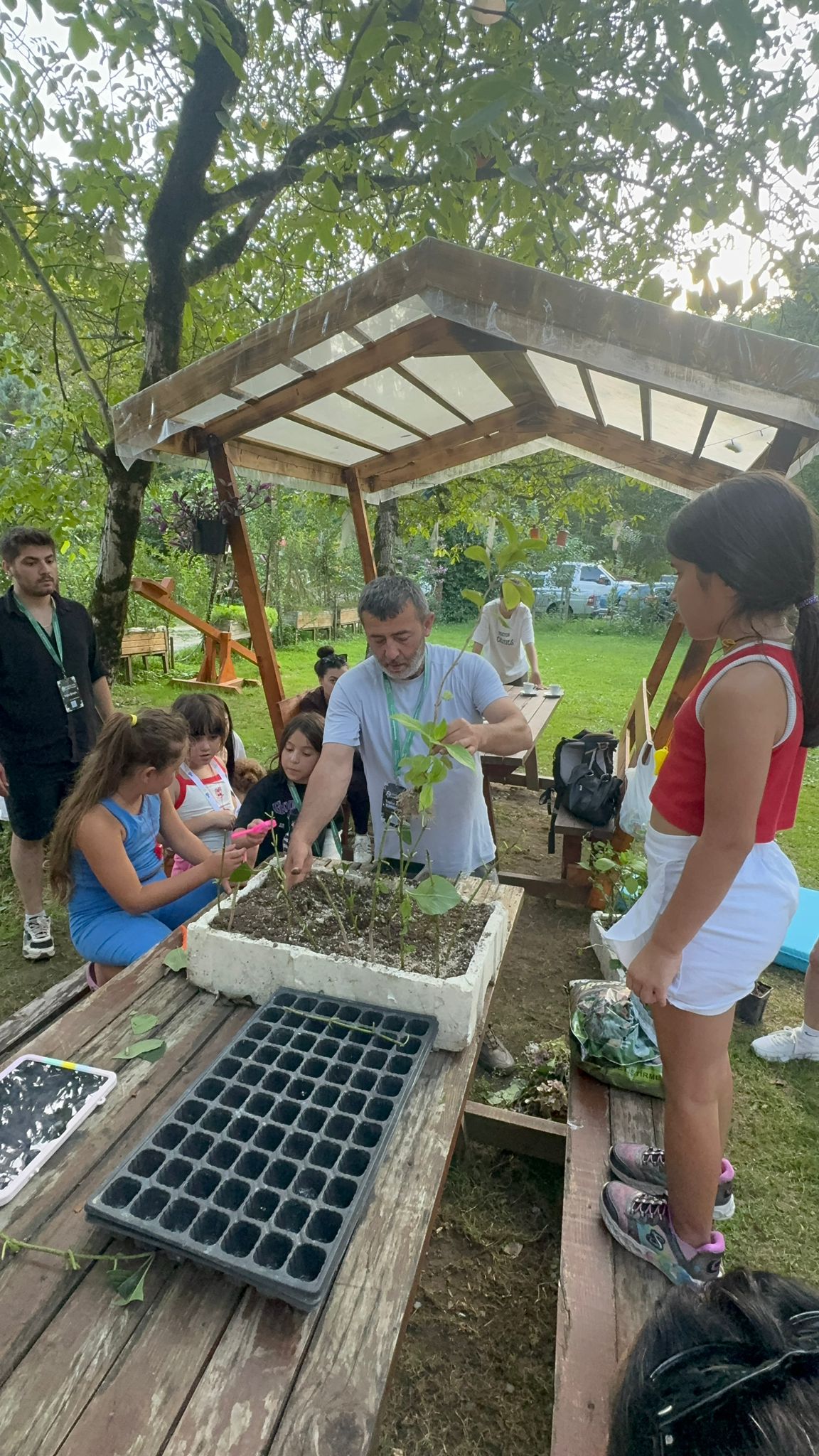 Bitkilerimi Büyütüyorum