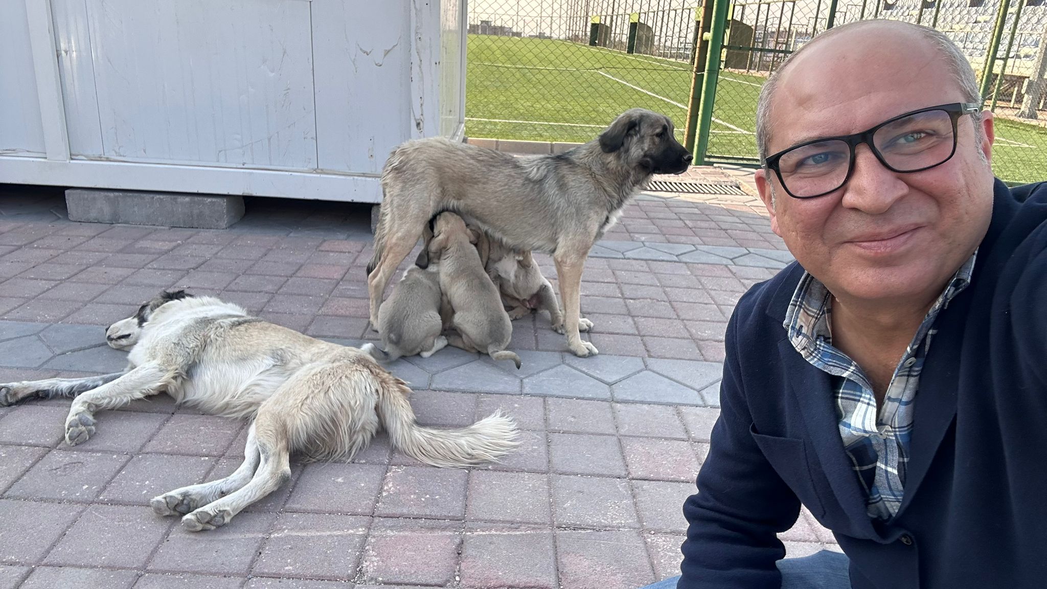 NEMRUT ROTARY KULÜBÜNDEN “SOKAKTAKİ CANLARA” UMUT OLAN MAMA DESTEĞİ