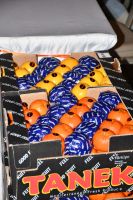 Yarıyıl Toplantısı