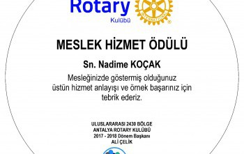 meslek hizmetleri ödülü