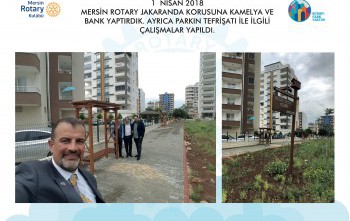 Mersin Rotary Jakaranda Korusuna Bank ve Kamelya yaptırdık. 