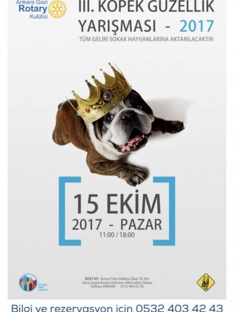 Ankara Gazi RK 3. KÖPEK GÜZELLİK YARIŞMASI