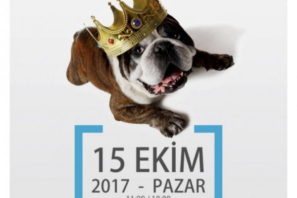 Ankara Gazi RK 3. KÖPEK GÜZELLİK YARIŞMASI