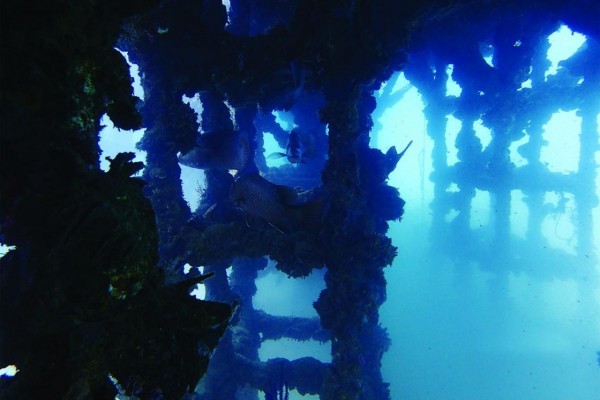 Reef revisited