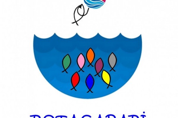 SİNOP DİYOJEN ROTAÇAPARİ Etkinliği