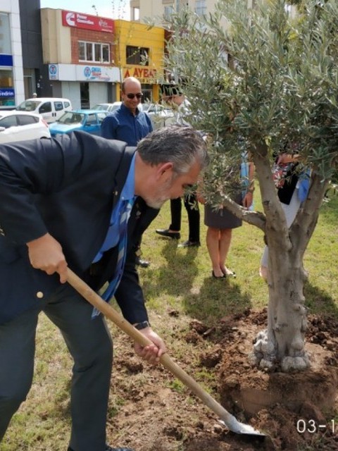 GÜNEY ROTARY BARIŞ PARKINA ARSLAN AİLESİ ADINA ZEYTİN AĞACI DİKTİK.