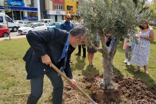 GÜNEY ROTARY BARIŞ PARKINA ARSLAN AİLESİ ADINA ZEYTİN AĞACI DİKTİK.