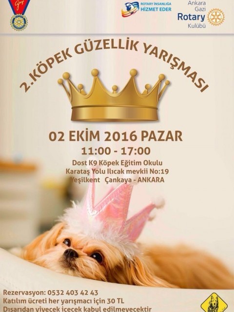 KASIM 2018 BÜLTENİMİZ YAYINLANDI