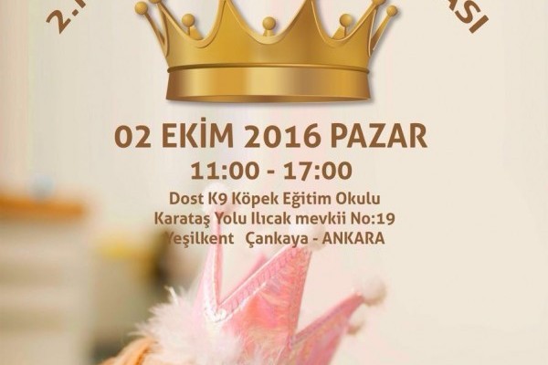 KASIM 2018 BÜLTENİMİZ YAYINLANDI
