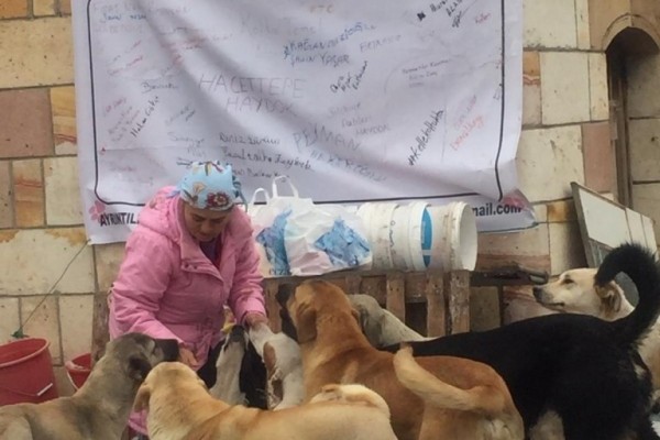 Ankara Emek Rotary Kulübü - İnci Anne Köpek Hayvan Barınağına Yardım, 22 Ocak 2019