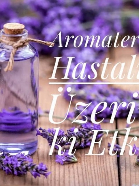 Ankara Kızılay Rotary Kulübü: "Kokuların dansının ve aromasinin surukleyicigiyle başladı yolculuğum" Elif Yazıcı
