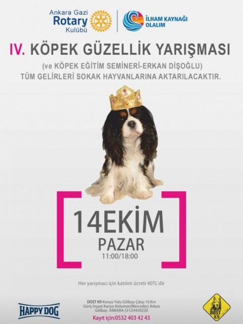 Alleben RK Akülü Tekerlekli Sandalye