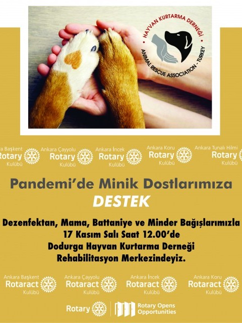 ANKARA ÇAYYOLU ROTARY KULÜBÜ ANKARA DODURGA HAYVAN KURTARMA DERNEĞİ BARINAĞI PROJEMİZ