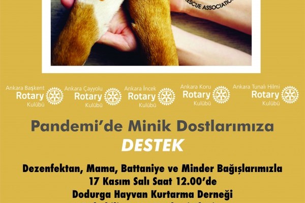 ANKARA ÇAYYOLU ROTARY KULÜBÜ ANKARA DODURGA HAYVAN KURTARMA DERNEĞİ BARINAĞI PROJEMİZ