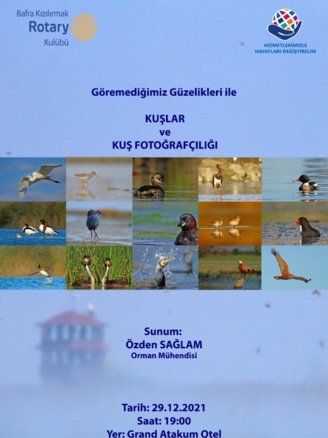 Kuşlar ve Kuş Fotoğrafçılığı