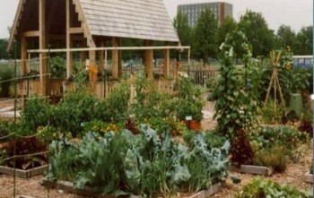 “Community Garden” Projesi - Ankara Koru Rotary Kulübü